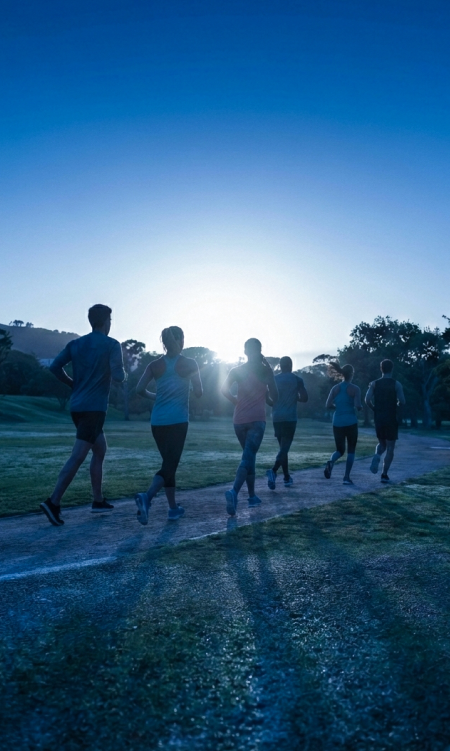 Runners celebrating at sunset